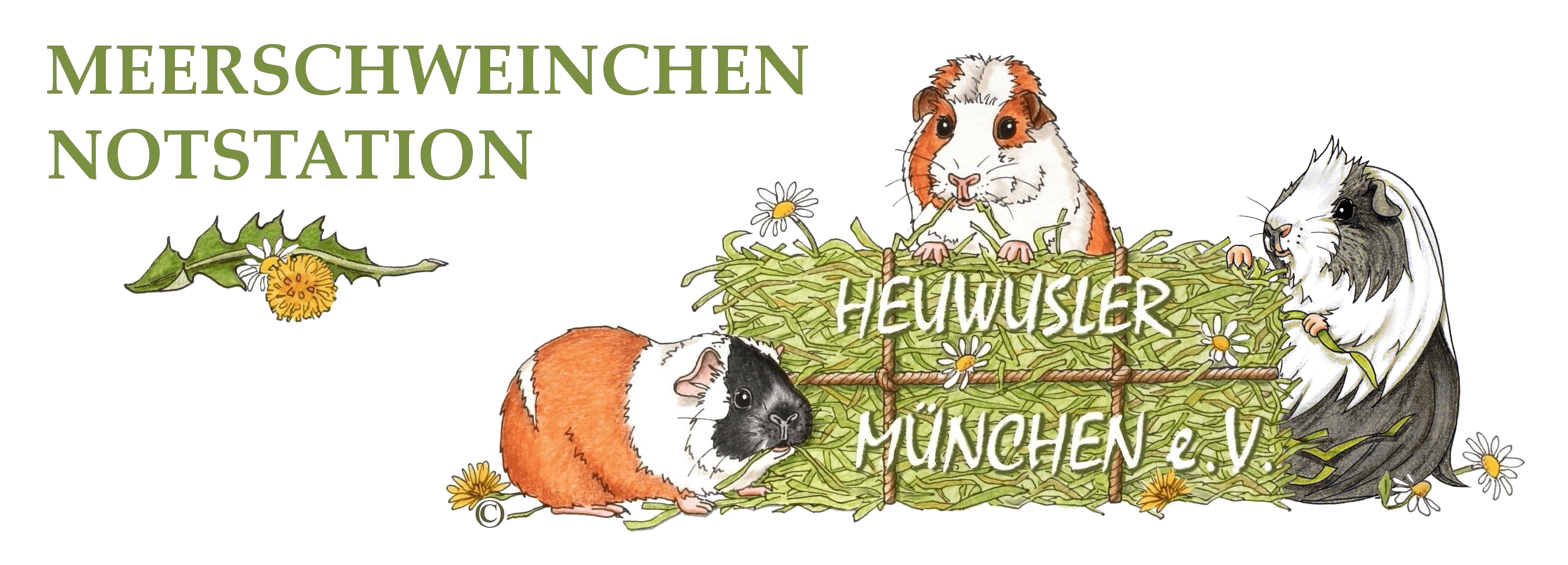 Heuwusler München e.V.